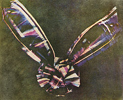 A bow made of tartan ribbon. The center of the bow is round, made of piled loops of ribbon, with two pieces of ribbon attached underneath, one extending at an angle to the upper left corner of the photograph and another extending to the upper right. The tartan colors are faded, in shades mostly of blue, pink, maroon and white; the bow is set against a background of mottled olive.